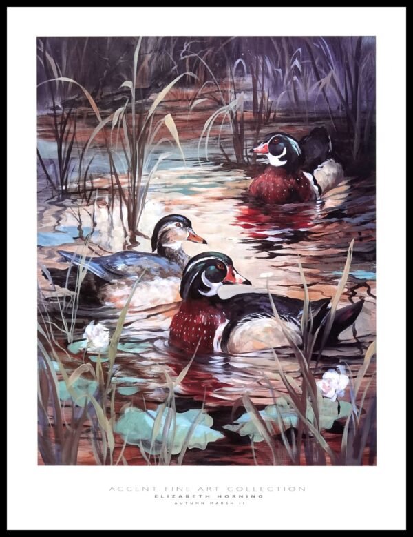 EDV HEP409 Autumn arsh II